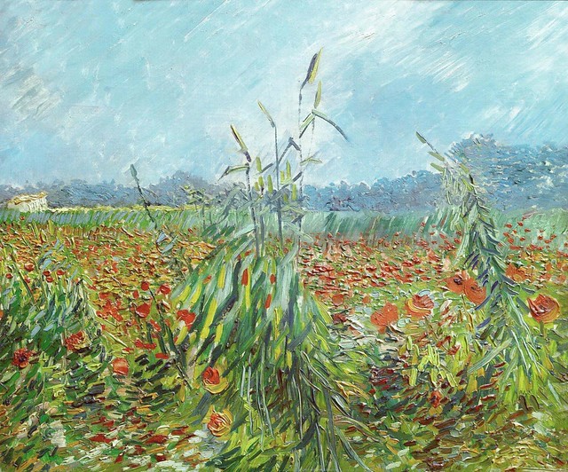 Vincent Van Gogh - Corn Fields and Poppies - Courtesy of and pictured by Irina - Click here to see the original.